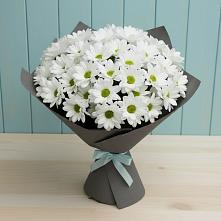 Букет цветов из:  Хризантемы в Исламее
